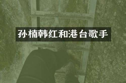 孙楠韩红和港台歌手