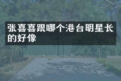 张喜喜跟哪个港台明星长的好像