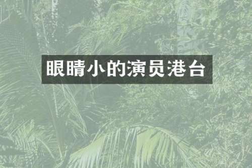 眼睛小的演员港台