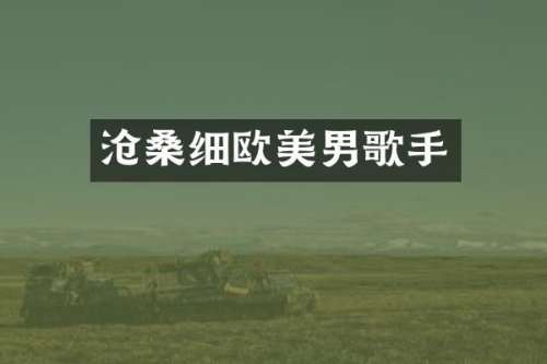 沧桑细欧美男歌手