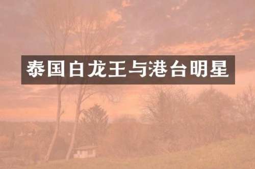 泰国白龙王与港台明星