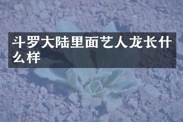 斗罗大陆里面艺人龙长什么样
