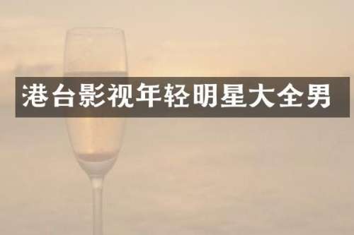 港台影视年轻明星大全男