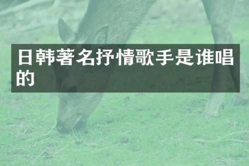 日韩著名抒情歌手是谁唱的