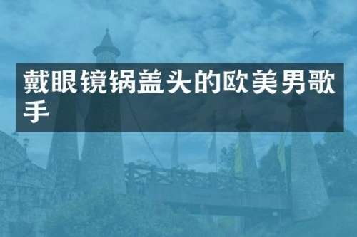 戴眼镜锅盖头的欧美男歌手