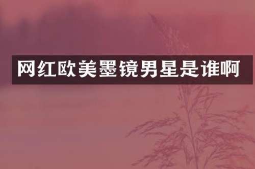 网红欧美墨镜男星是谁啊