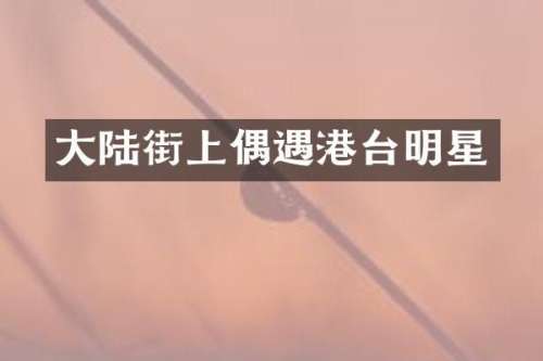 大陆街上偶遇港台明星