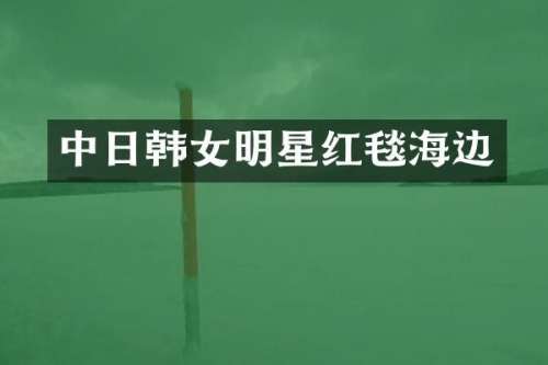 中日韩女明星红毯海边
