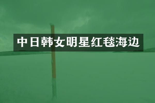 中日韩女明星红毯海边
