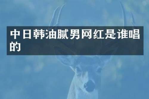 中日韩油腻男网红是谁唱的