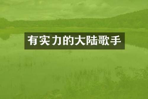 有实力的大陆歌手