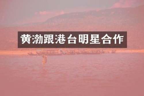 黄渤跟港台明星合作