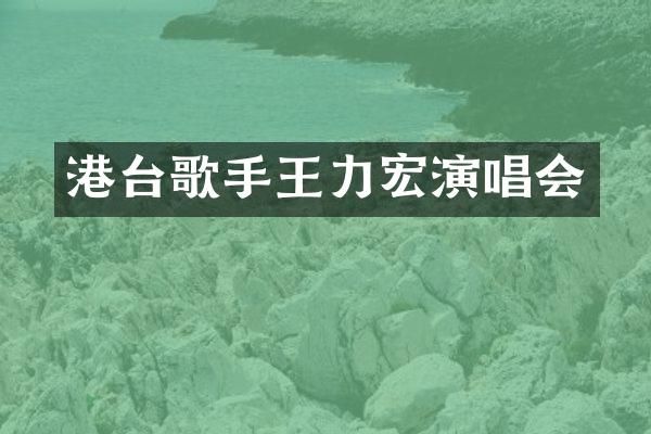 港台歌手王力宏演唱会
