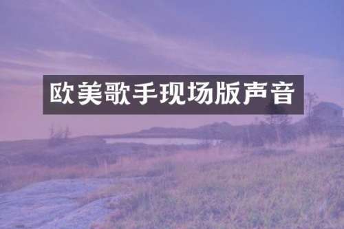 欧美歌手现场版声音