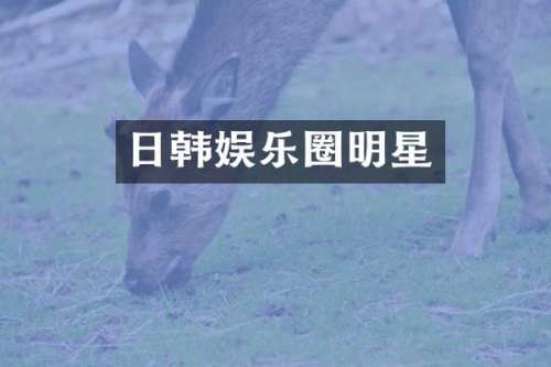 日韩娱乐圈明星
