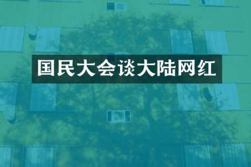 国民大会谈大陆网红