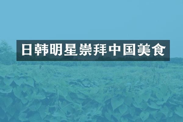 日韩明星崇拜中国美食