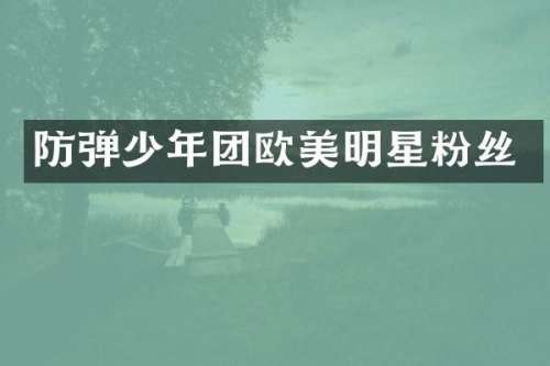 少年团欧美明星粉丝