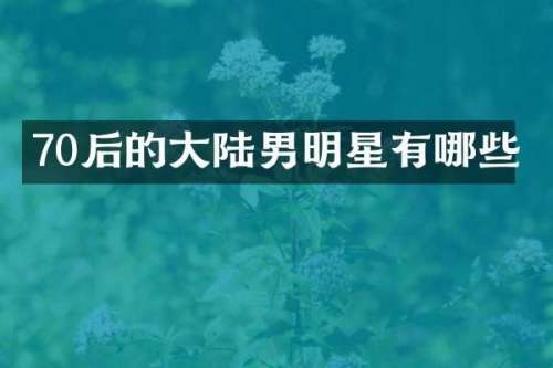 70后的大陆男明星有哪些