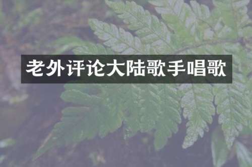 老外评论大陆歌手唱歌