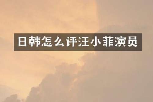 日韩怎么评汪小菲演员