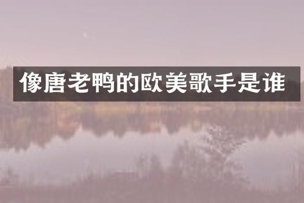 像唐老鸭的欧美歌手是谁