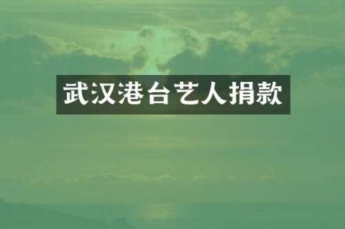 武汉港台艺人捐款