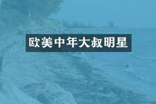 欧美中年大叔明星