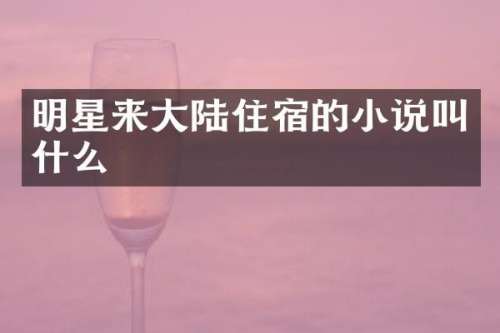 明星来大陆住宿的小说叫什么