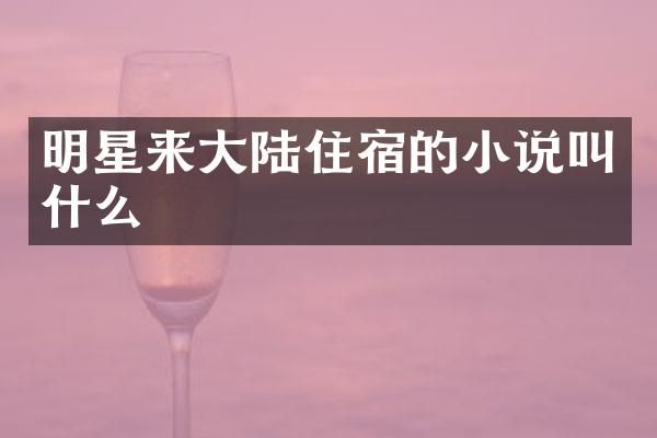 明星来大陆住宿的小说叫什么