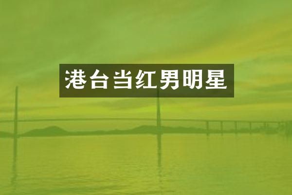 港台当红男明星
