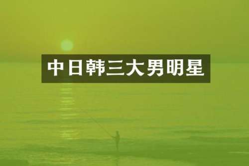 中日韩三大男明星