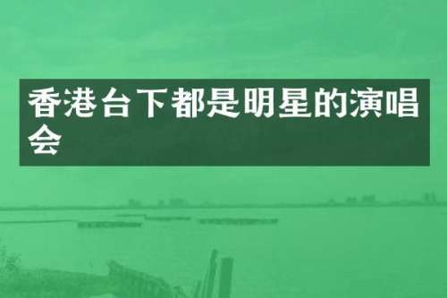 香港台下都是明星的演唱会