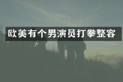 欧美有个男演员打拳整容