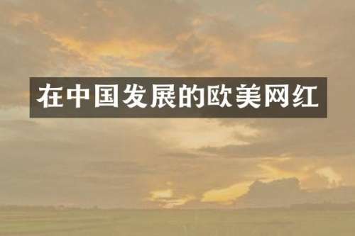 在中国发展的欧美网红
