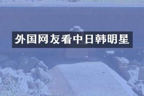 外国网友看中日韩明星
