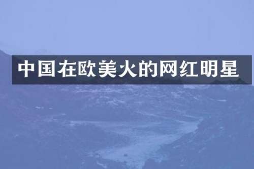 中国在欧美火的网红明星