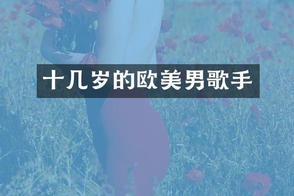 十几岁的欧美男歌手