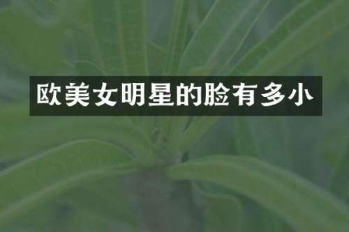 欧明星的脸有多小