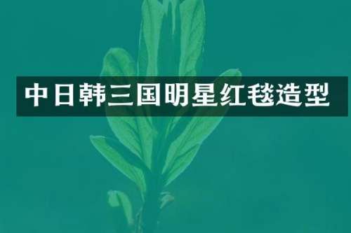 中日韩三国明星红毯造型