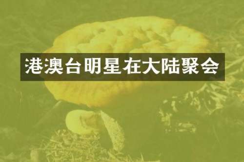 港澳台明星在大陆聚会