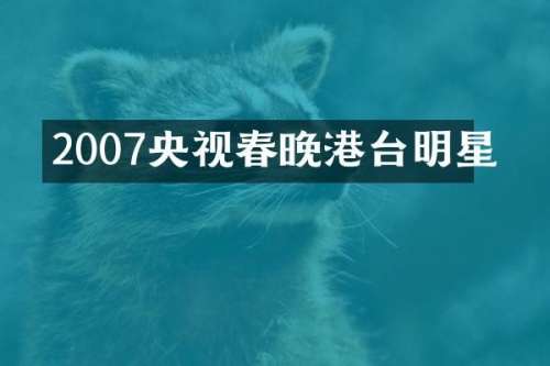 2007央视港台明星