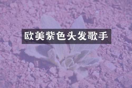欧美紫色头发歌手