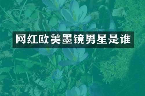 网红欧美墨镜男星是谁