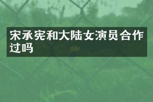 宋承宪和大陆女演员合作过吗