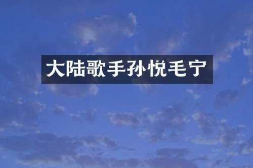 大陆歌手孙悦毛宁