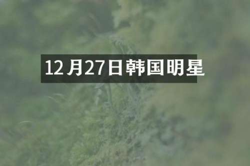 12月27日韩国明星