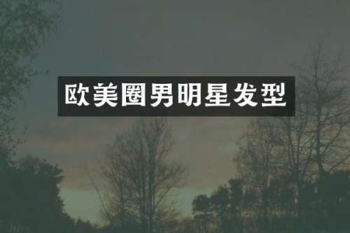 欧美圈男明星发型