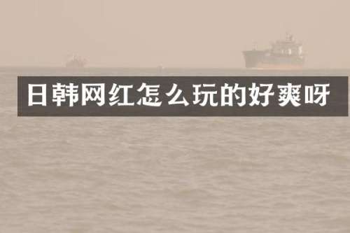 日韩网红怎么玩的好爽呀