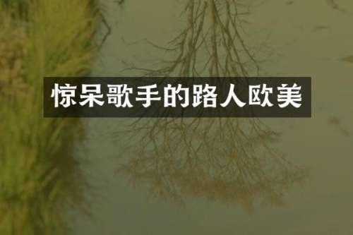 惊呆歌手的路人欧美